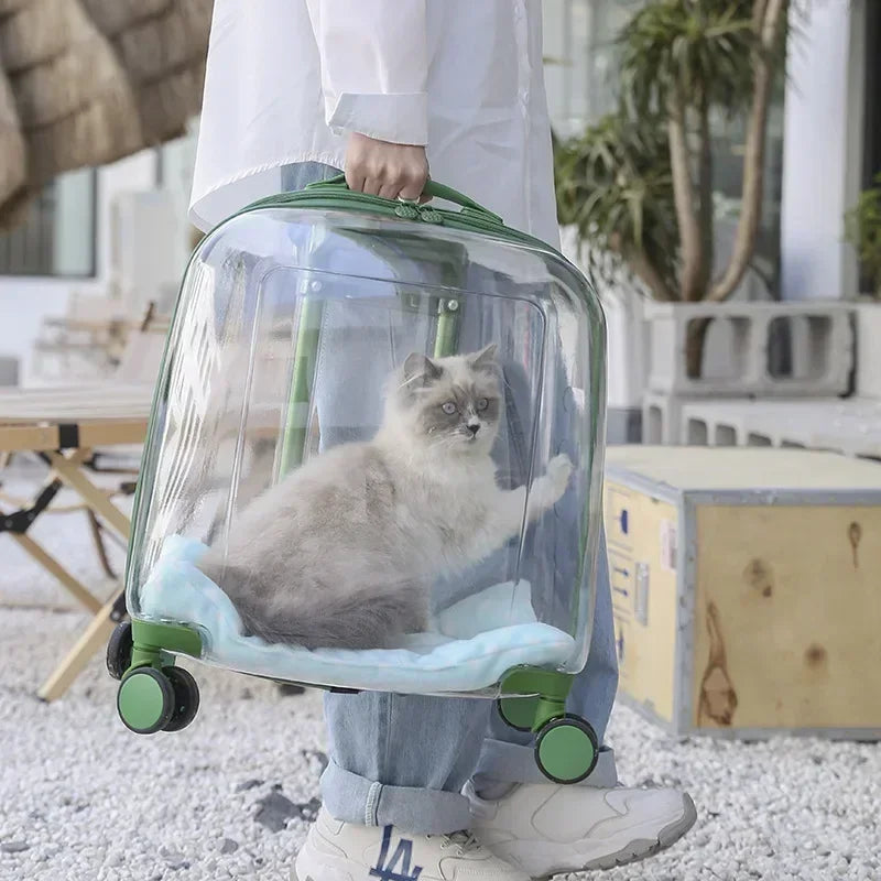 Cats Carrier Pet Backpacks PC Material Travel Stroller Bags Pet Shop Transparent Transportation Products on Wheels Accessories
