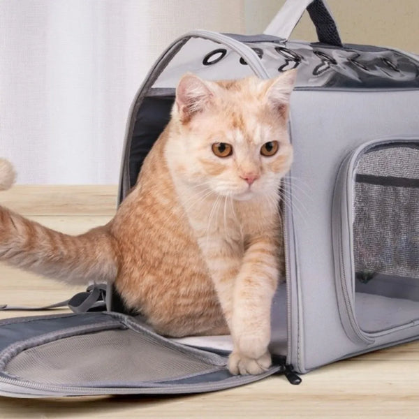 Dog Backpack Sturdy Pet Carrying Bag Transparent Large Capacity Pet Outing Backpack Portable Breathable Pet Travel Bag Outdoor