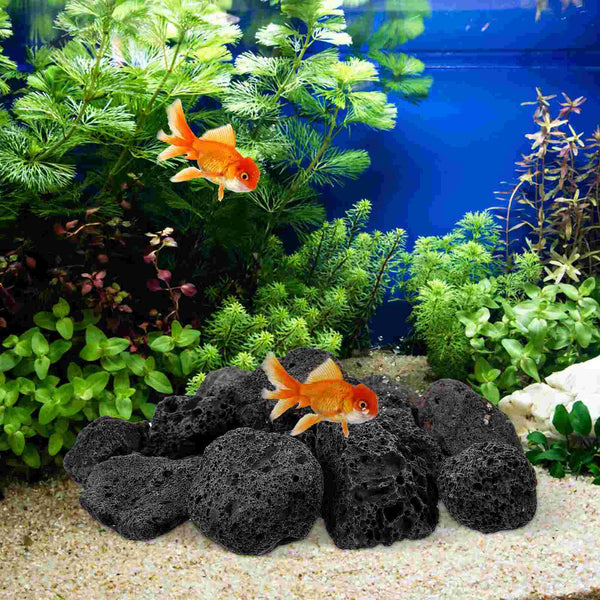 1 Pack Natural Volcanic Rocks Aquarium Fish Tank Decorations Lava Stones for Potted Plants rocks for potted plants