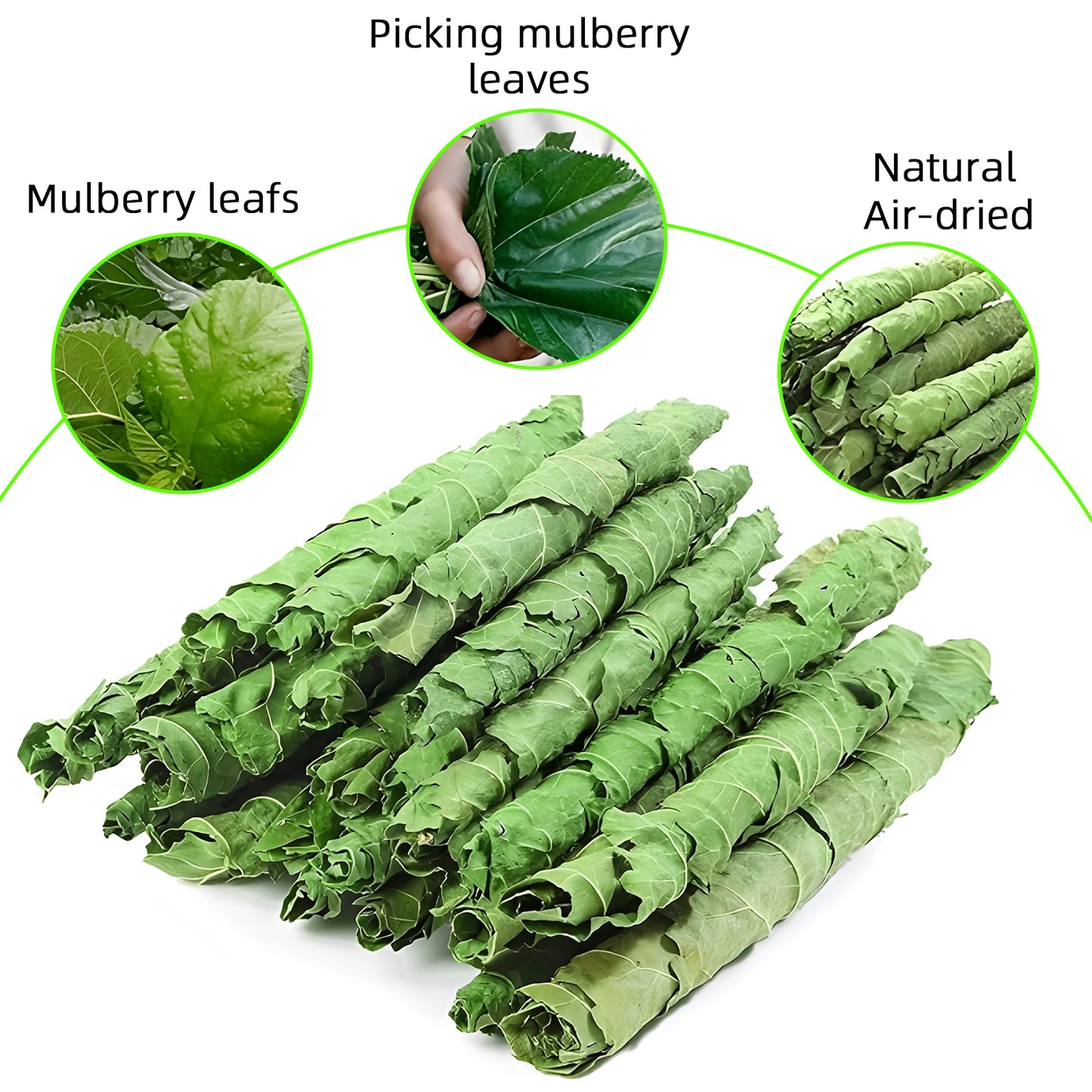 Rabbit Hamster Teeth Grinding Toys, Snacks, Natural Air Dried Natural Mulberry Leaf, The Toy of Choice for Small Pets
