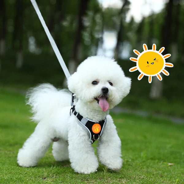 Adjustable Soft Padded Pet Vest Reflective Adjustable Puppy Chest Strap, Suitable for Small, Medium, Large Dogs, Cats